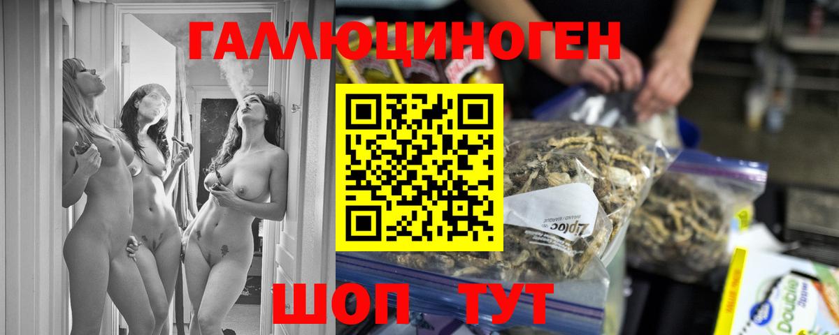 магазин продажи   Вход с VPN  Торжок  Галлюциногенные грибы мухоморы 